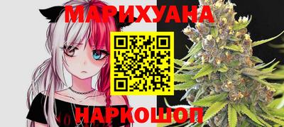 Альфа ПВП Можга