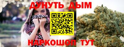spice Моздок