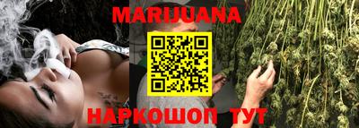 spice Моздок