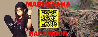 Альфа ПВП Можга