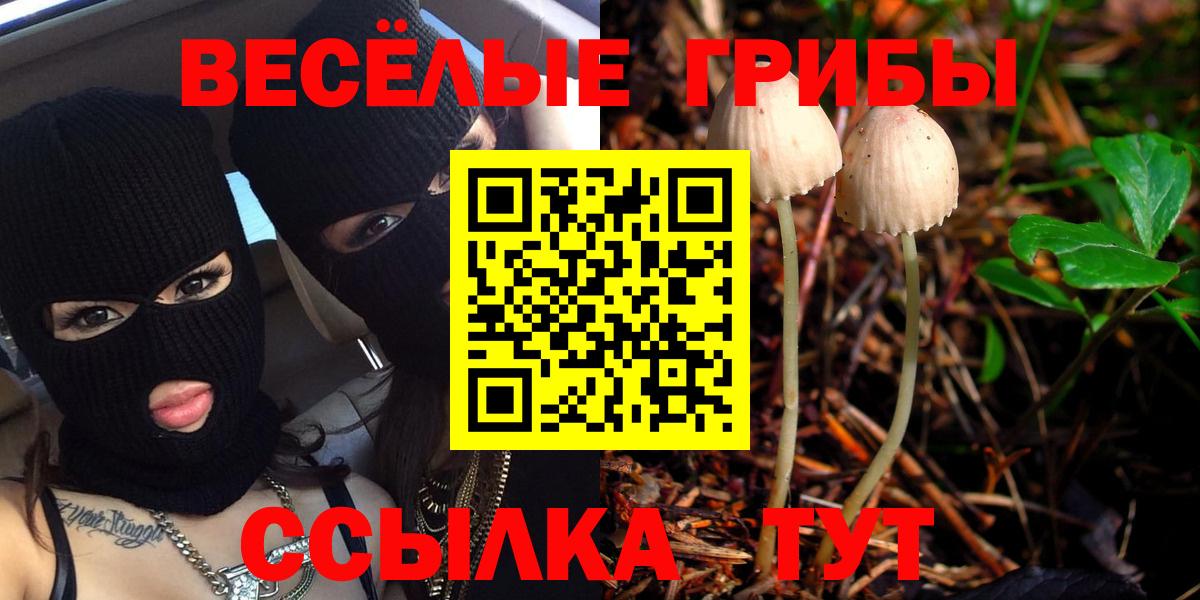 Псилоцибиновые грибы Magic Shrooms  Вход с VPN  Электрогорск 